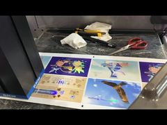 Roll-to-Roll-Folien-Stampen- und Lackiermaschine Digitale Etikettenvergrößerung Drucker