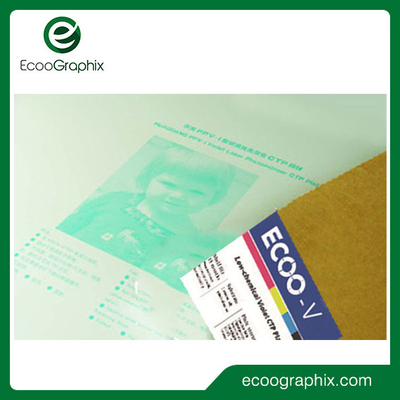 Digital-Offsetdruck-Platte niedrige chemische Violet Photopolymer