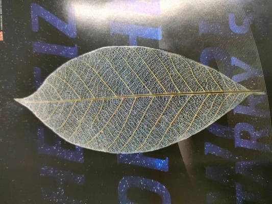 590x760 Digital UV Spot Lack Coater und Folienmaschine