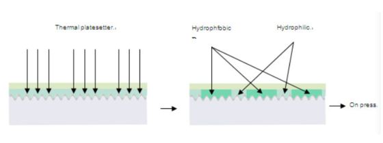 Thermische Negativprozesslose CTP-Platte 0,30 mm 100K Abdrücke